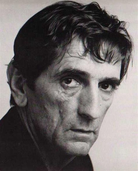 Harry Dean Stanton Character Actor Movie Stars Actors