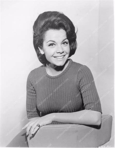 Annette Funicello Seated Portrait 8b20 2954 Abcdvdvideo