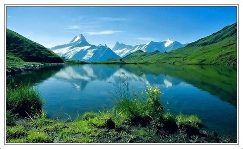 Morning Calm Mist Reflection Lake Mountains Flowers Dream