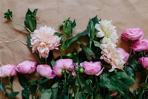 Horizontal Row Of Blush Delilahs And Pink Garden Roses By Kristen