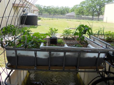 Dafe Diy Aquaponics The Definitive How To Guide Pdf Here