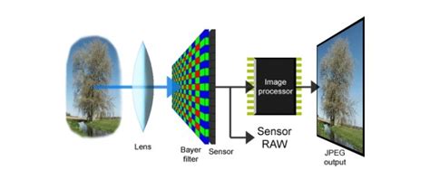 So you must read this article. How ISOCELL works: inside Samsung's evolution of BSI ...