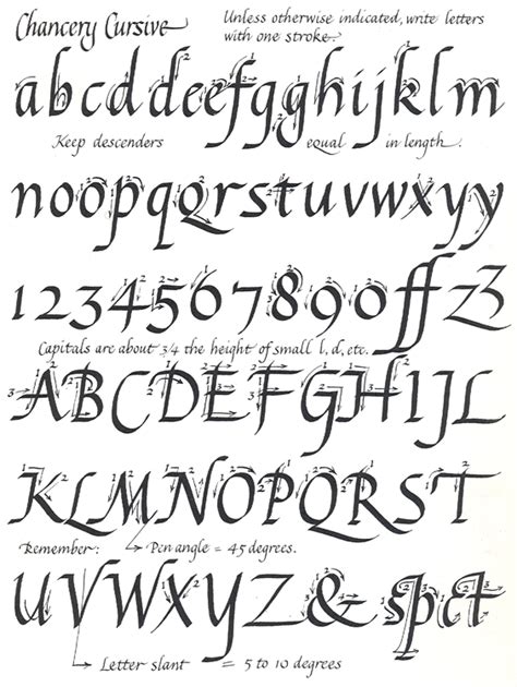 Renaissance Lettering Cursive Calligraphy Lettering Alphabet