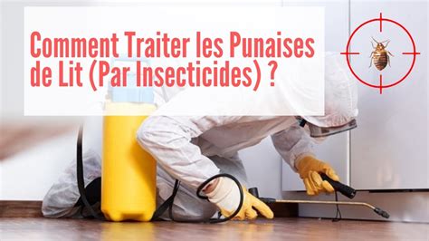 Comment Traiter Les Punaises De Lit Punaise De Lit Traitement Youtube