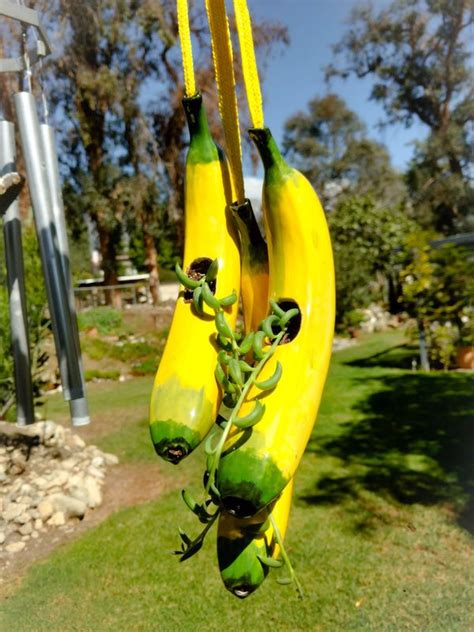 3 String Of Bananas Banana Planters Unique Hand Made Planter With