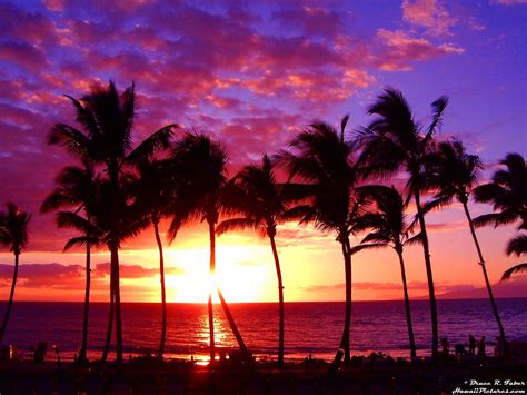 60 tropical hawaiian sunset wallpapers download at wallpaperbro sunset beach hawaii sunsets