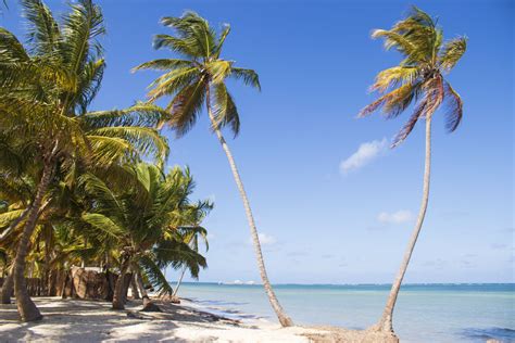 Cabeza De Toro Beach Punta Cana