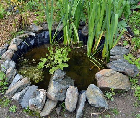 Garden Art Diy Building A Wildlife Pond In The Vegetable Garden