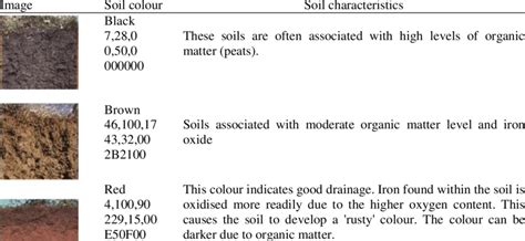 Characteristics Of Soil Based On Colours Download Table