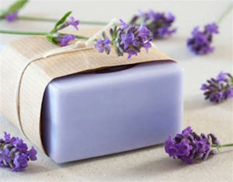 Homemade Soap Recipes 14 Quick Ways To Make Your Own Soap