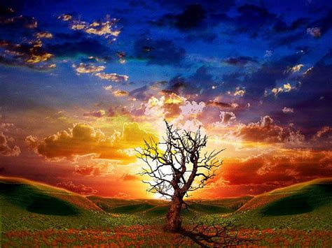 3840x2160px 4k Free Download Tree At Sunset Blue Red Sky