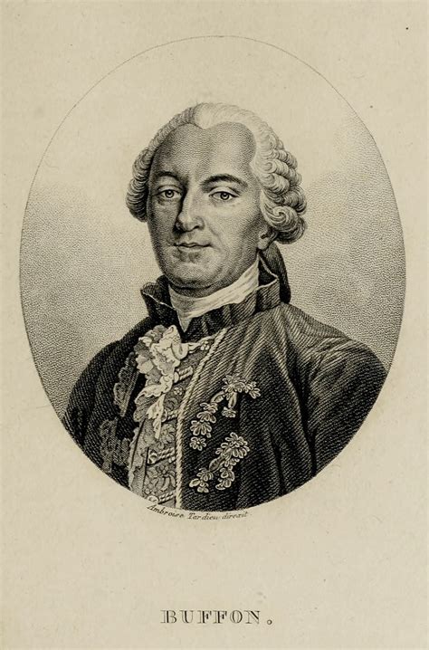 Georges Louis Leclerc Comte De Buffon 1707 1788 Portrait By Ambroise