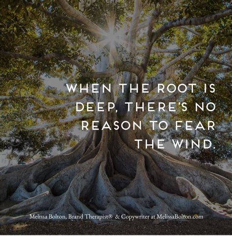 When The Root Is Deep Theres No Reason To Fear The Wind Roots