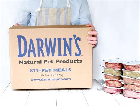 Darwins Pet Food Delivery Service Review Vet Approved