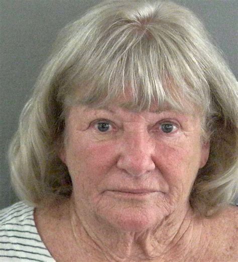 Village Of St Charles Woman Arrested After Alleged Christmas Eve Attack Villages