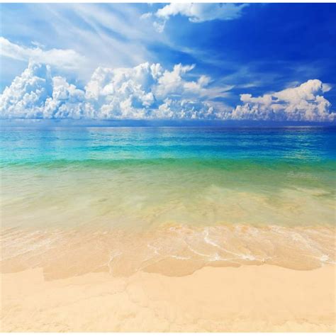 Greendecor Polyster Tropical Summer Photo Backdrop Beach 5x7ft Blue