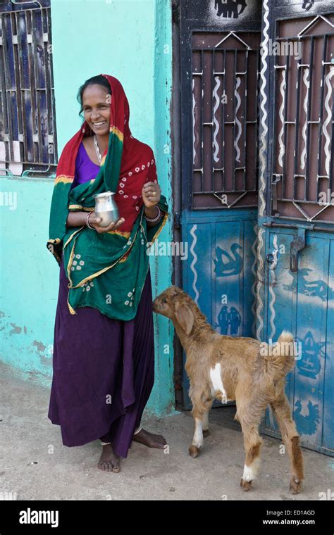 Woman Of Garasia Tribe With Goat In Village Near Poshina Gujarat