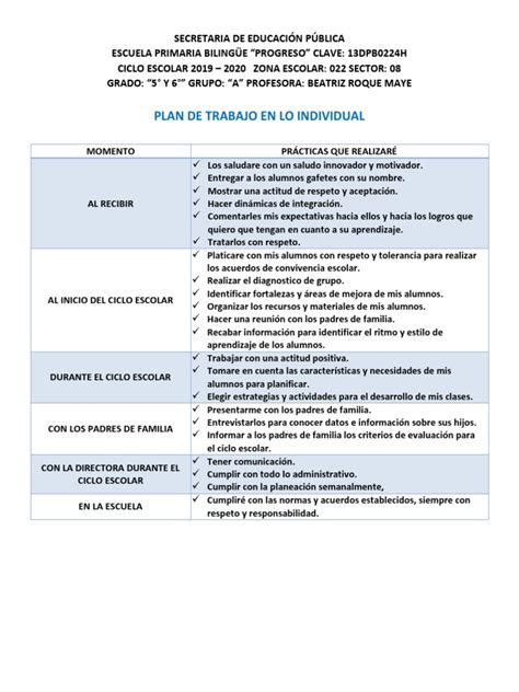 Plan De Trabajo Pdf Educación Primaria Planificación