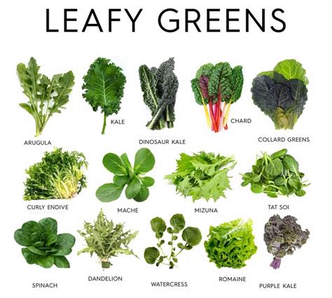 10 Types Of Greens And Their Uses Green Leafy Vegetable Leafy Greens Healthy Eating Guidelines