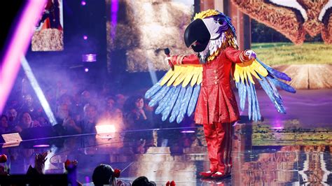 Who Is Macaw On The Masked Singer Us What To Watch