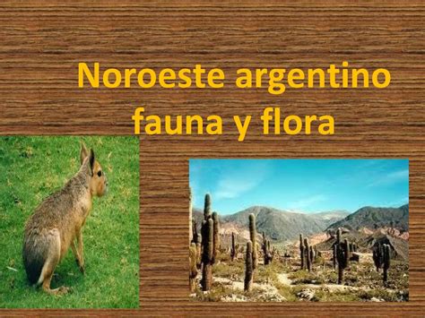 Calaméo Noroeste Argentino Fauna