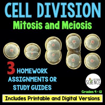 Mitosis Meiosis Cell Division Homework Set Printable And Digital