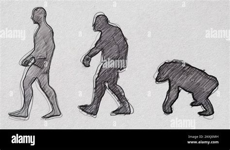 Human Evolution Timeline Pencil Sketch Seamless Loop Stock Video