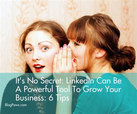 6 Secrets To Growing Your Business Using Linkedin Social Media Strategies