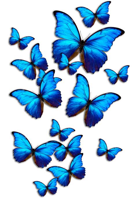 Aesthetic Blue Butterfly Wallpapers Wallpaper Cave