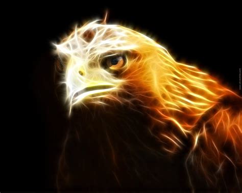 Fire Eagle Wallpapers Wallpaper Cave