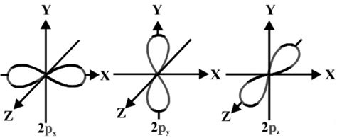 Shapes Of Atomic Orbital Chemistry Class Structure Of Atom