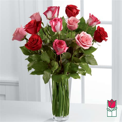 Beretanias Premium True Romance Rose Masterpiece Colors Vary In