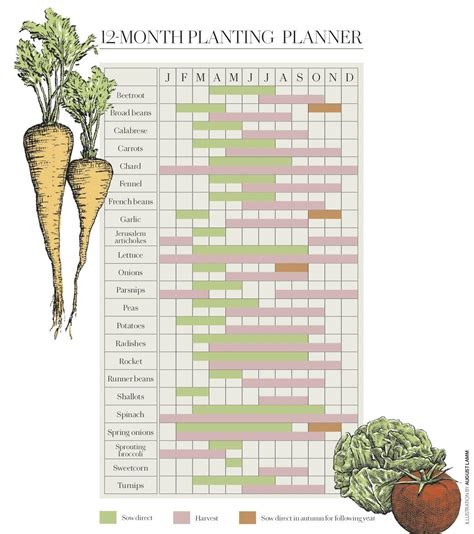 Printable Vegetable Planting Calendar