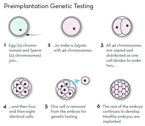 What Is Preimplantation Genetic Testing