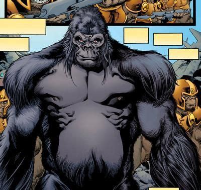 Gorilla Grodd Dc Villains Super Villains Villians Fun Comics Marvel