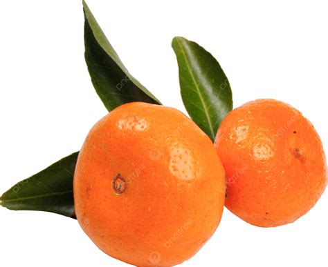 Tangerina Png Miyagawa Tangerine Frutas Frescas Laranjas Sem