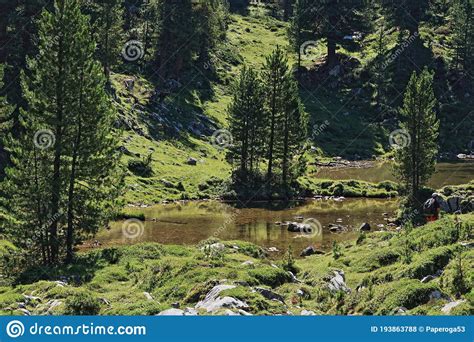 Parco Naturale Di Fanes Close To Marebbe In Val Pusteriadolomiti