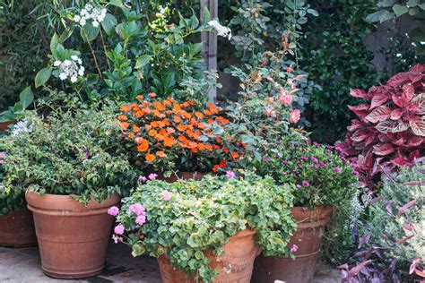 Pictures Of Great Container Gardens