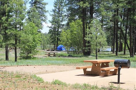 Kaibab Forest Begins Stage 1 Fire Restrictions Williams