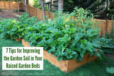 See more ideas about raised garden, raised garden bed soil, backyard landscaping. 7 Tips for Improving the Garden Soil in Your Raised Garden ...