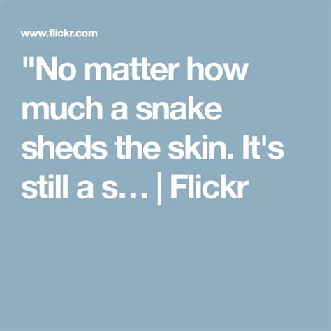 No Matter How Much A Snake Sheds The Skin Its Still A Snake Quotes