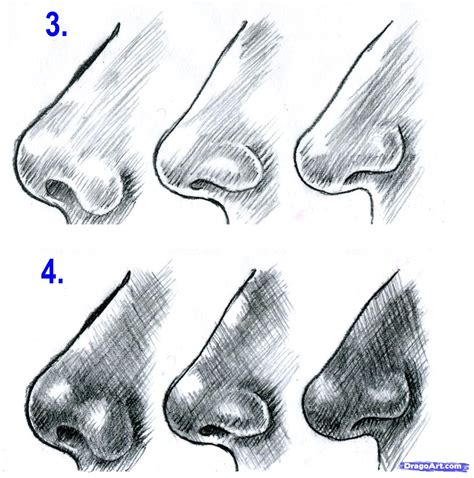 If you're an artist or an aspiring artist looking for easy sketch ideas, look no further. How to Draw Realistic Noses, Draw Noses, Step by Step ...
