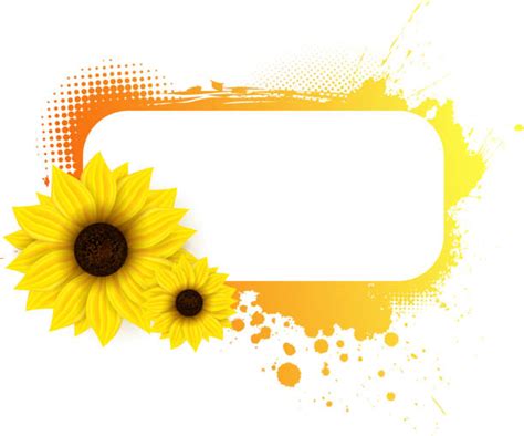 Sunflower Banner Pictures Illustrations Royalty Free Vector Graphics