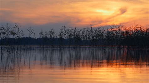 Water Ripples Video Bing Wallpaper Download