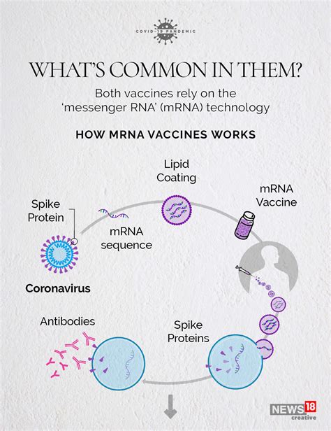 New strains from biontech than from moderna. Pfizer Vs Moderna: What's Different About The Vaccines ...