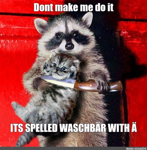 Meme Dont Make Me Do It Its Spelled WaschbÄr With Ä All Templates