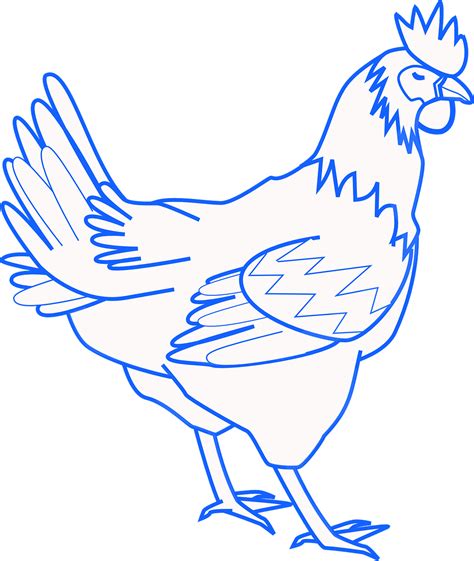 Rooster Chicken Bird Cock Png Picpng