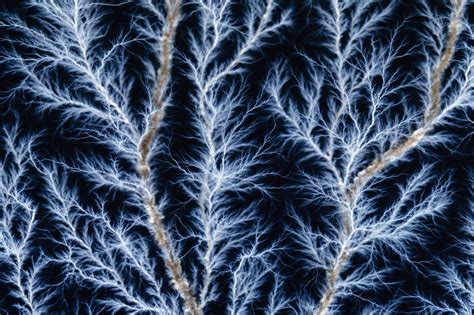 What Is A Fractal The Ultimate Guide To Understanding Fractals