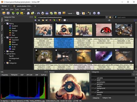 10 Best Photo Viewer For Windows 11 In 2022 Arteching