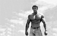 Download wallpapers Arnold Schwarzenegger, American actor, young ...